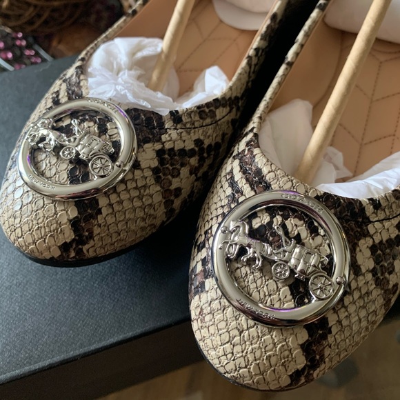 Coach Bailey Ballet Flats - Picture 12 of 13